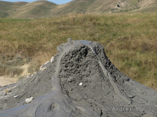 mud_trunk.jpg