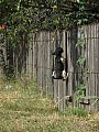 img_6497.jpg