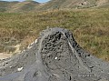 mud_trunk.jpg