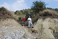 dsc_8830.jpg